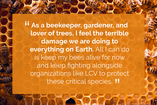 As a beekeeper, gardener and lover of trees, I feel the terrible damange we are doing to everthing on Earth