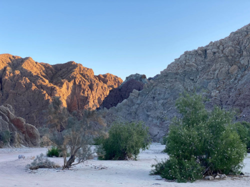 A desert mountain landscape at the Chuckwalla National Monument.