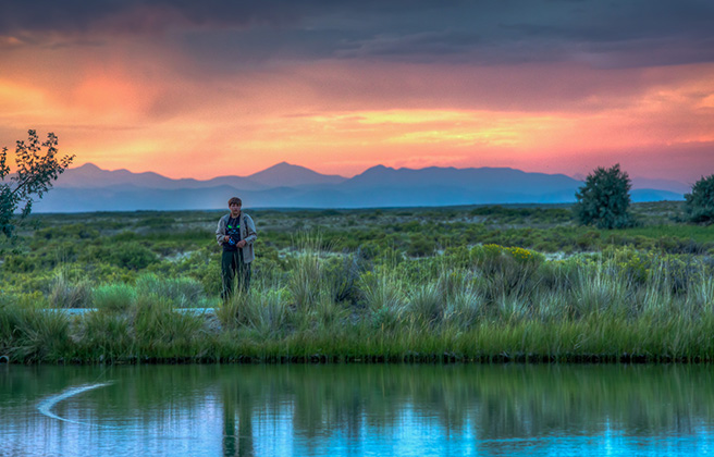 Person fishing in a stream set in a Colorado wetland area with mountains behind.