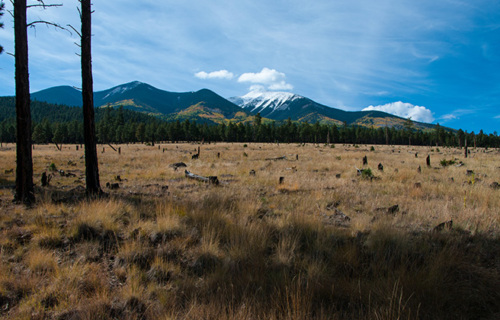 A large field in front of a snow-capped mountain.