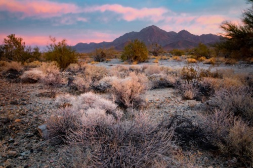 Under a pink and blue sky, a desert landscape dotted by small rocks and shrubs with a mountain range in the distance.