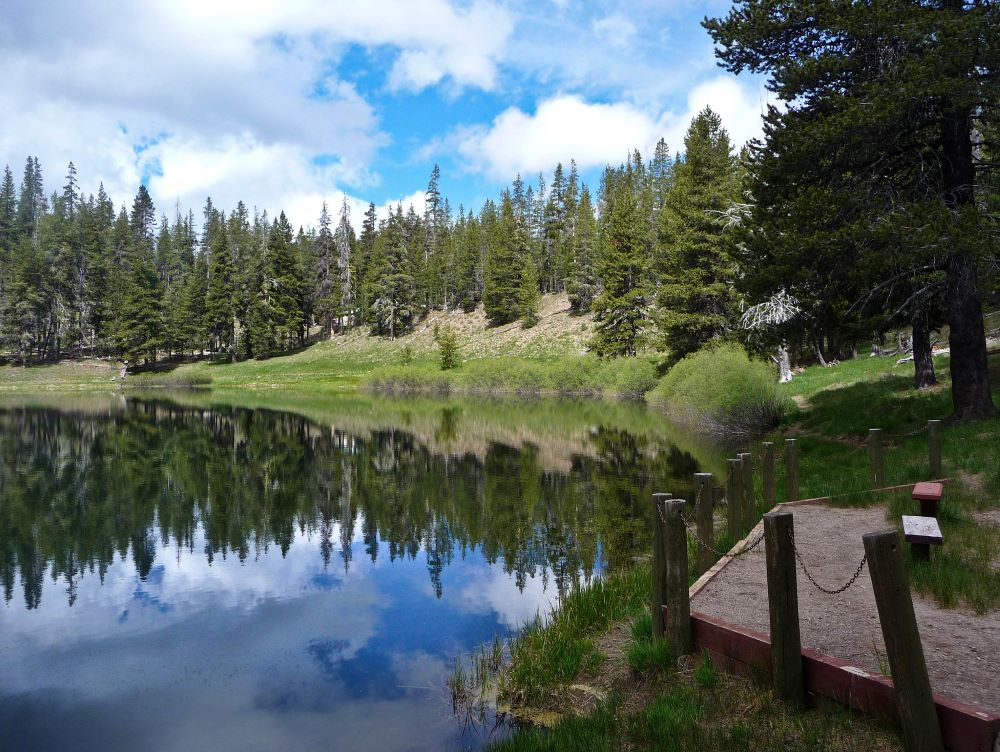 Looking out at evergreen trees reflected crisply in the water and a walking path curving along the shoreline of a lake.