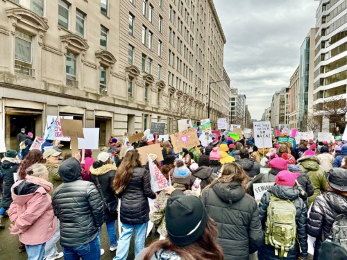 Protestors carrying signs march down a Washington D.C street.